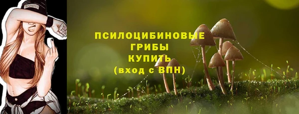 спиды Карпинск
