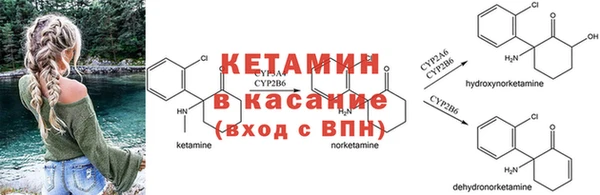 спайс Касимов