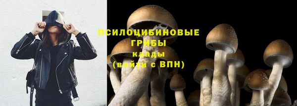 спайс Касимов