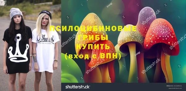 спиды Карпинск