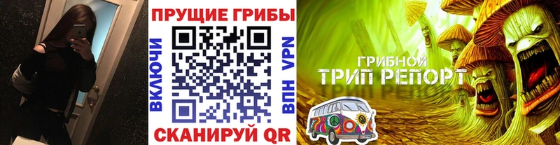 Галлюциногенные грибы прущие грибы  Пушкино 
