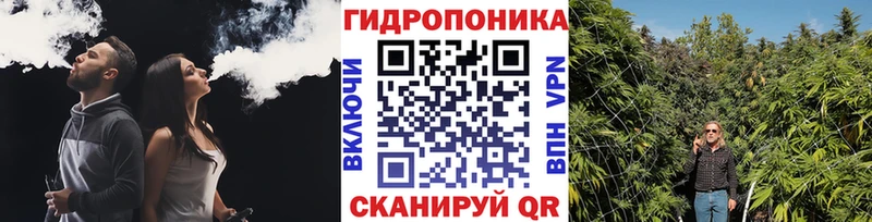 Конопля Amnesia  Пушкино 